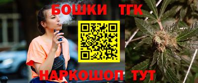 МДПВ Гагарин