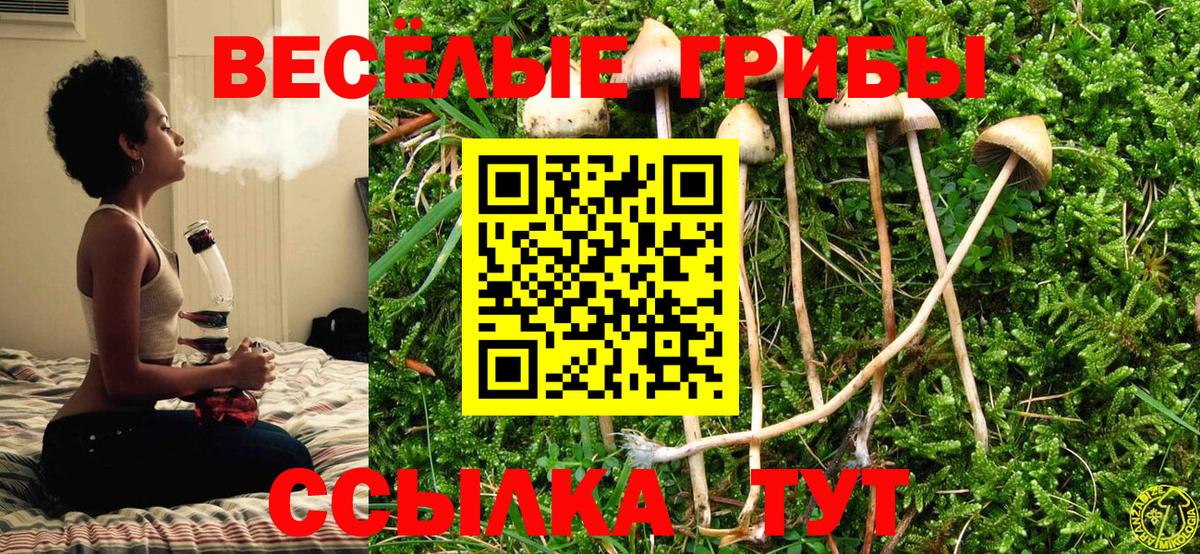 Пенза  Галлюциногенные грибы ЛСД  Вход с VPN 